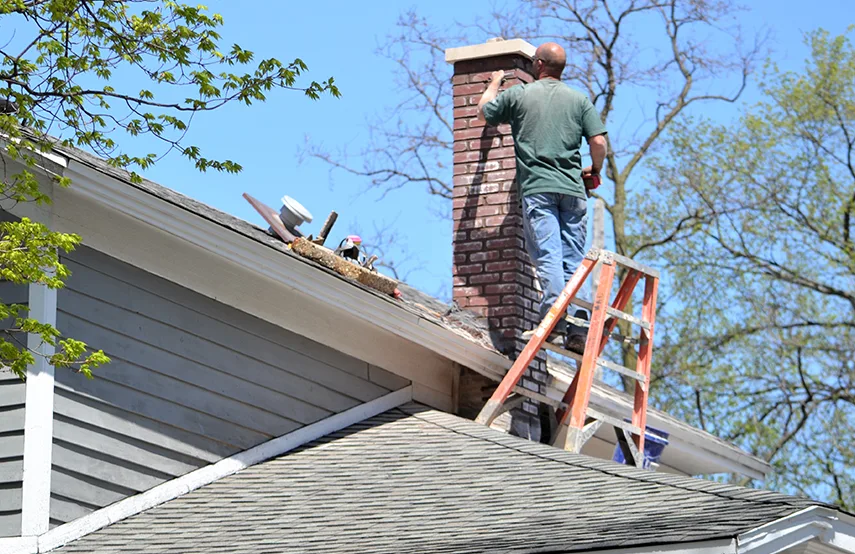 Chimney & Fireplace Inspections Services in Little Elm, TX
